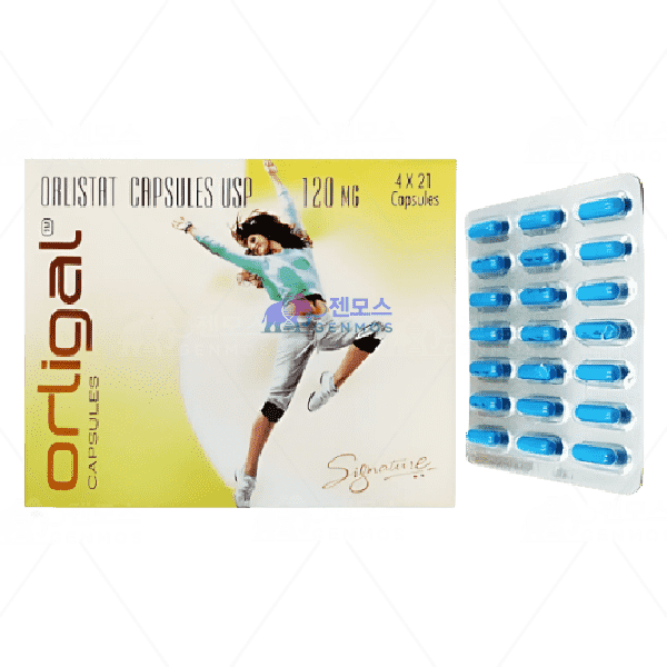 오르리파스트(Orligal) 120mg