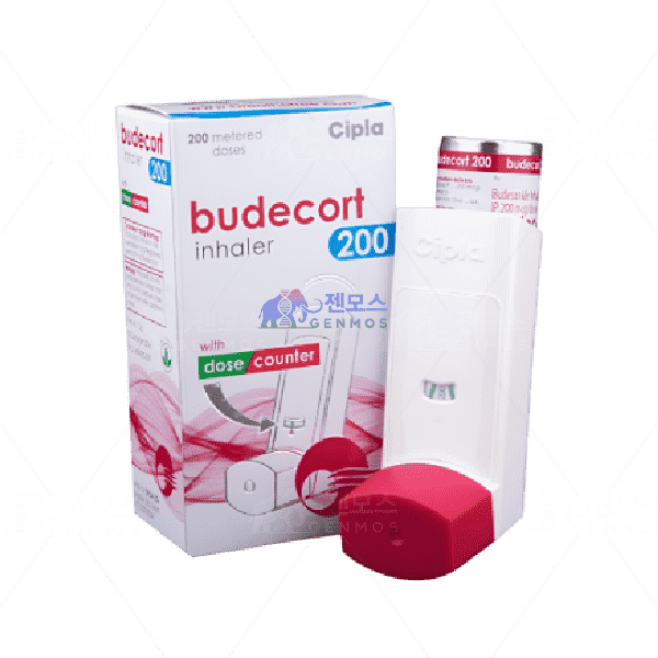 Budecort 200 Inhaler (3/6개)