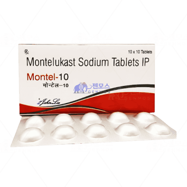 몬테루카스트 10mg Montel-10 (100정)