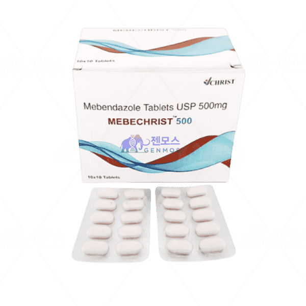 메벤다졸 Mebechrist 500mg (100정)