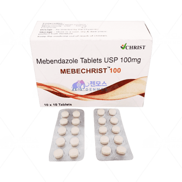 메벤다졸 Mebechrist 100mg (100정)