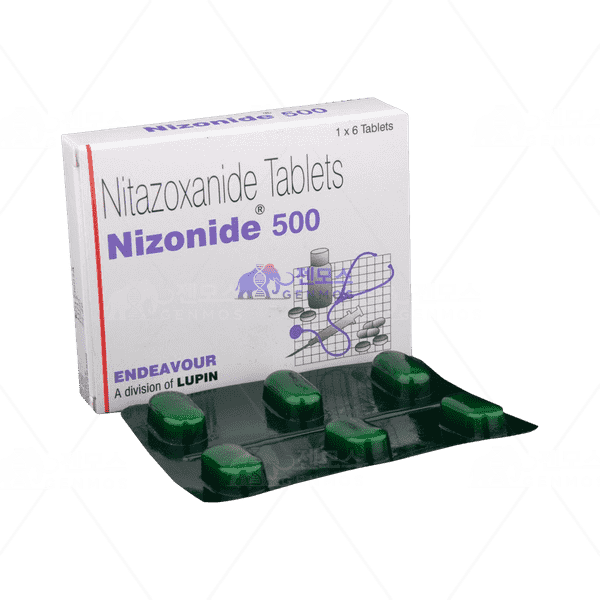 니조나이드 500 (니타조사나이드 500mg)