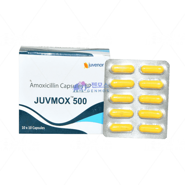 주브목스 500mg (아목시실린 500mg)