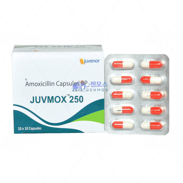 주브목스 250mg (아목시실린 250mg)