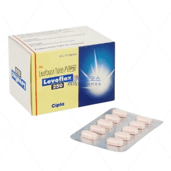 Levoflox 250 (레보플록사신 250mg)