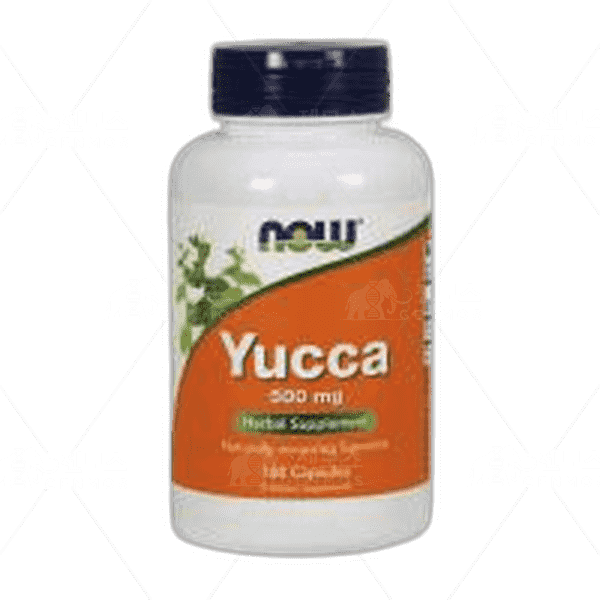 [[Now Foods]] 유카 500 mg, 100 캡슐