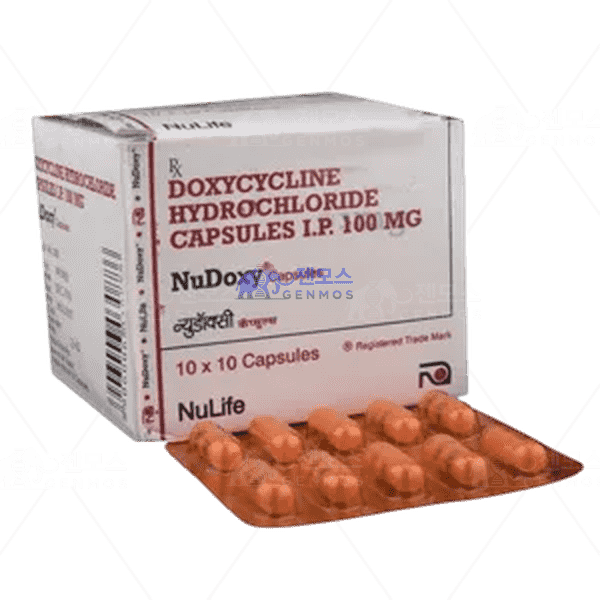 누독시 (Doxycycline 독시사이클린 100mg)