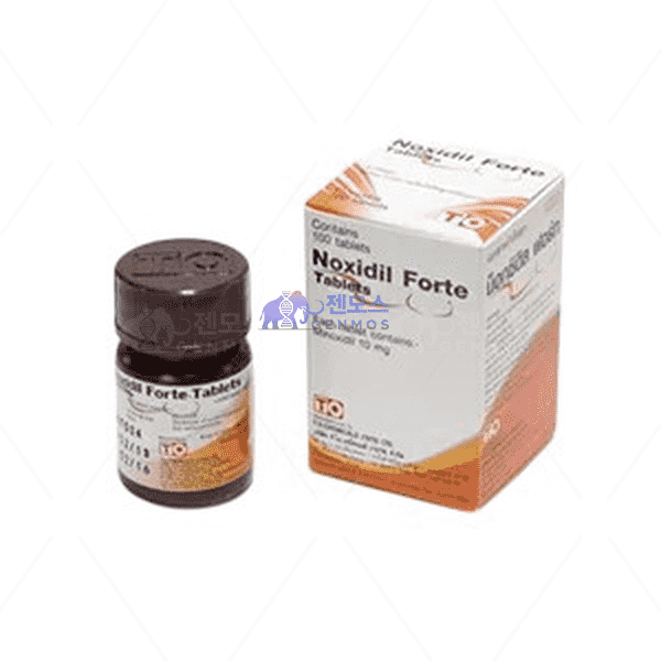 녹시딜 포르테 테블릿 보틀 (미녹시딜 Minoxidil 10mg)