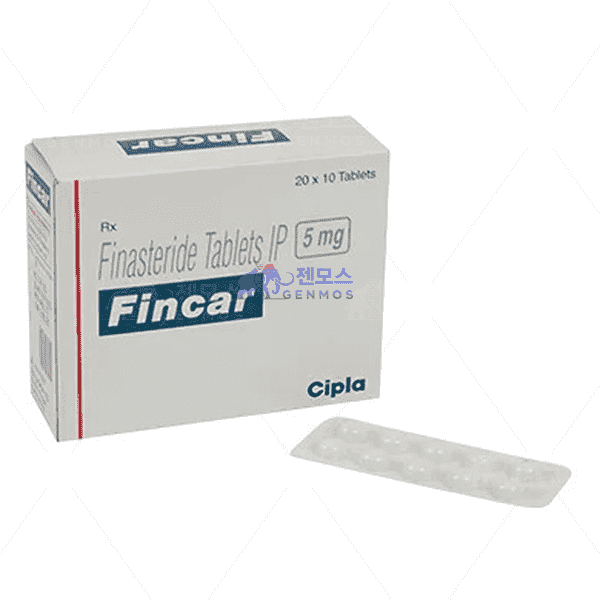 핀카 (피나스테리드 Finasteride 5mg)